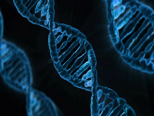 More precise diagnoses made possible with whole genome sequencing, finds study