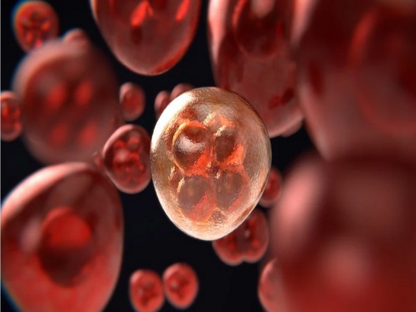 Cancer and non-O blood types face risk of developing blood clots: Study