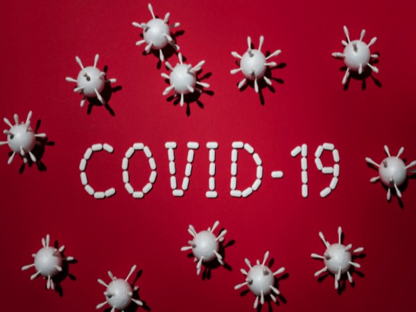 Research sheds light on durability and effectiveness of immune response against COVID-19