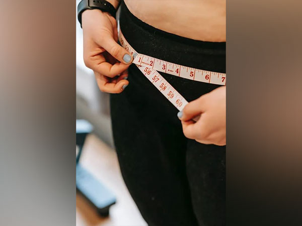 Study finds diet tracking essential element for effective weight loss